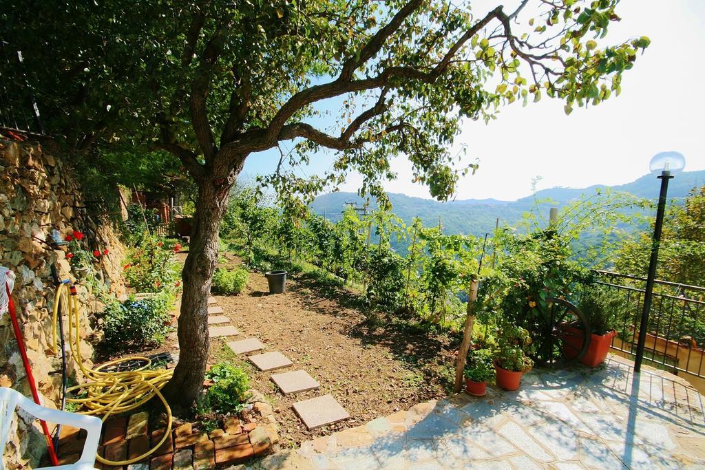 Agriturismo Costamagna 诺利 外观 照片