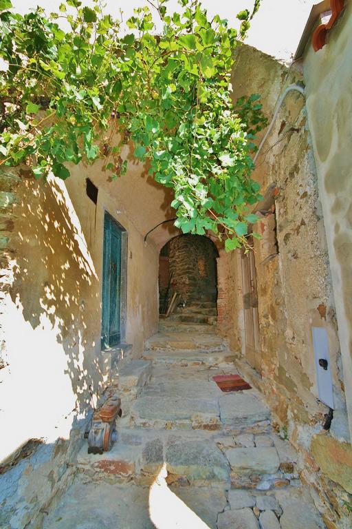 Agriturismo Costamagna 诺利 外观 照片