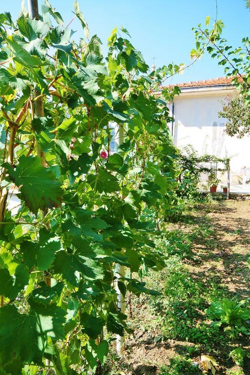 Agriturismo Costamagna 诺利 外观 照片